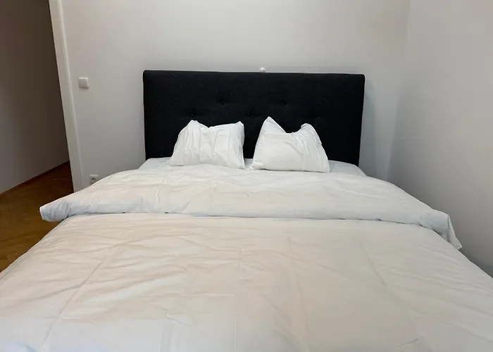 Daire 50qm, 1 Bedroom Schoenbrunn, Central, Balcony Viyana